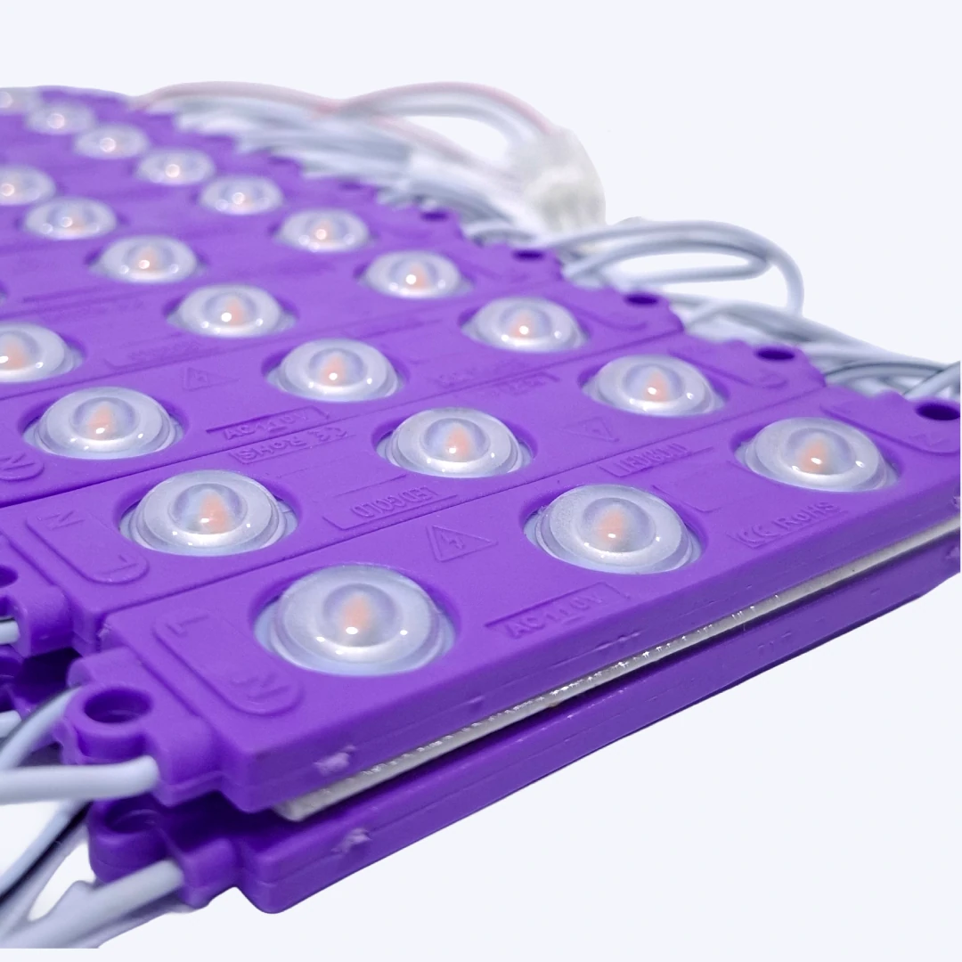 MODULO LUPA PEQUEÑO 110V 2835 REF 7616 1.1W LUZ PURPURA