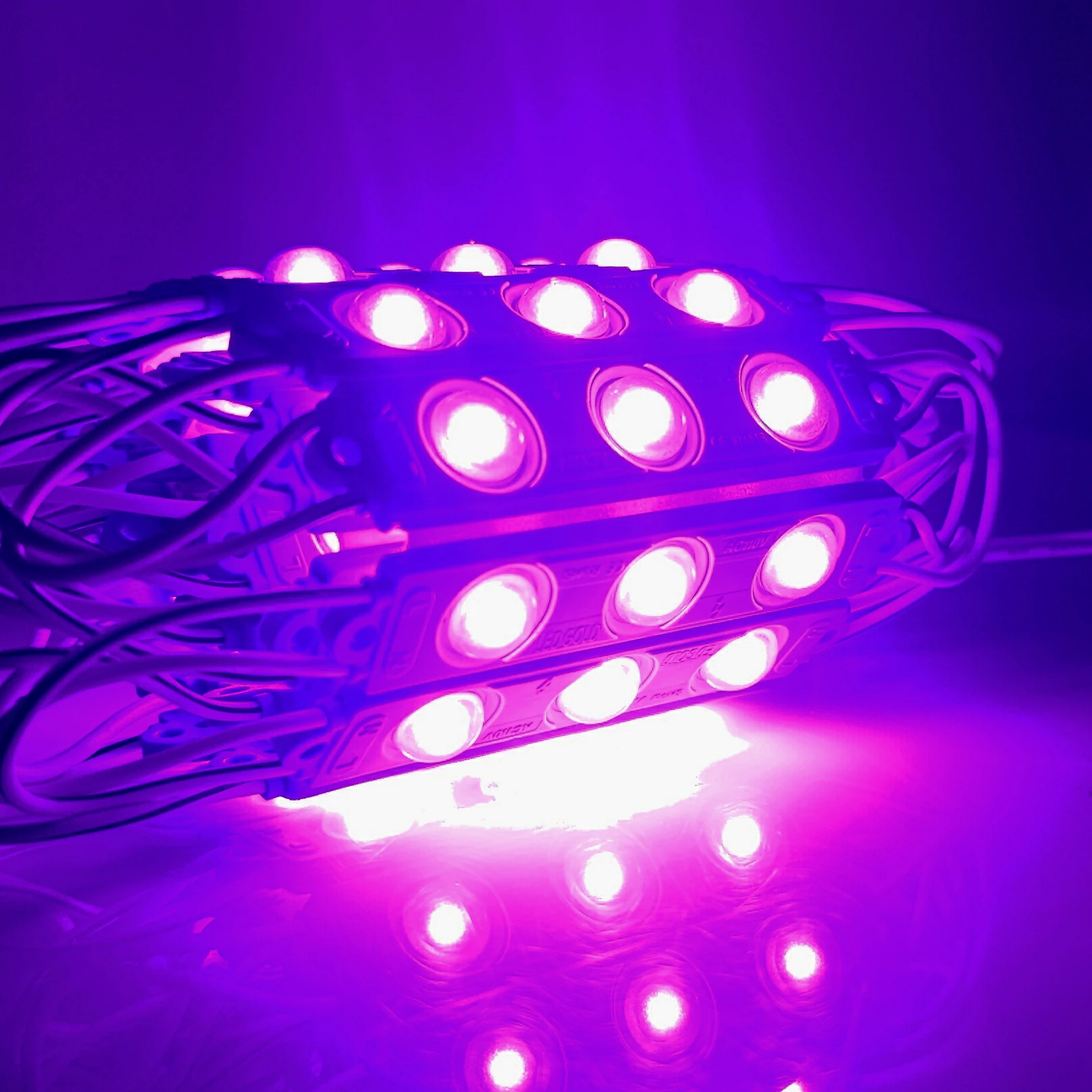 MODULO LUPA PEQUEÑO 110V 2835 REF 7616 1.1W LUZ PURPURA - Imagen 2