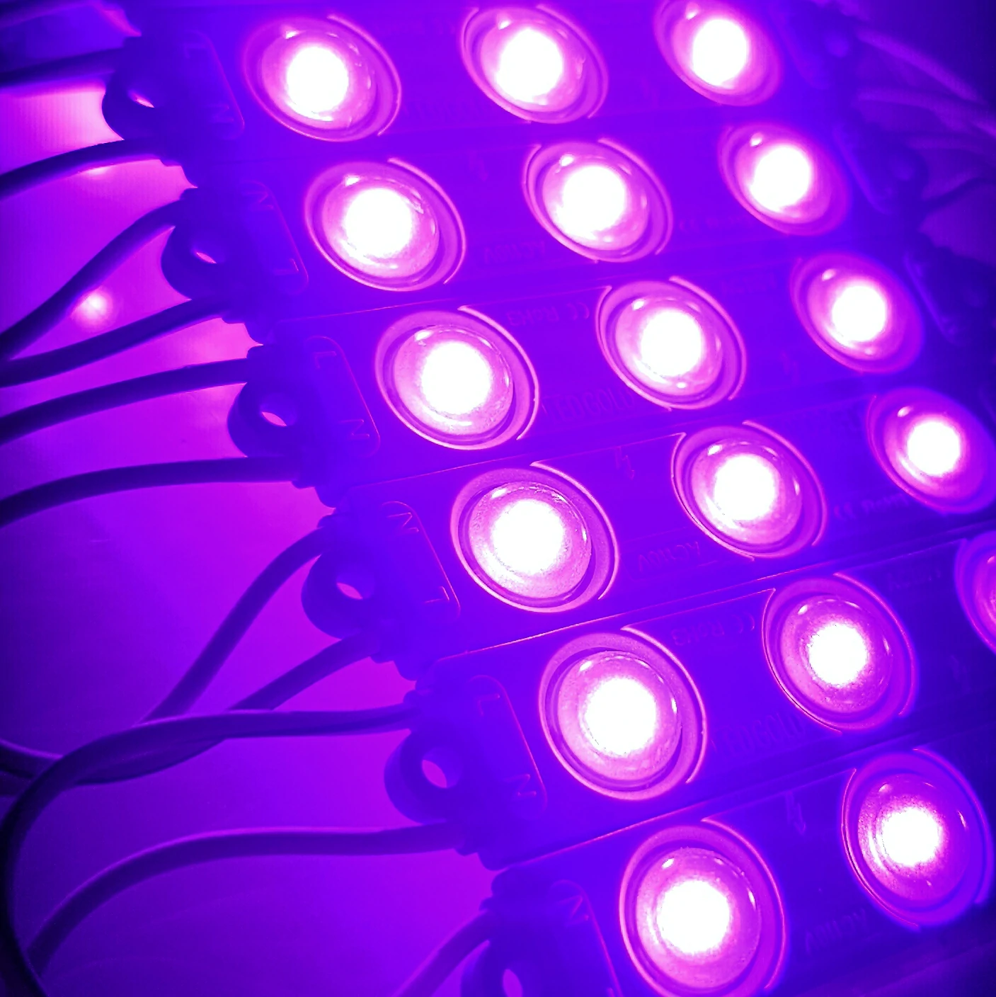 MODULO LUPA PEQUEÑO 110V 2835 REF 7616 1.1W LUZ PURPURA - Imagen 3