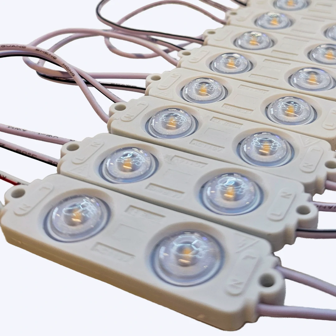 MODULO 2 LEDS 110V 2835 REF 6520 1.3W LUZ CALIDA