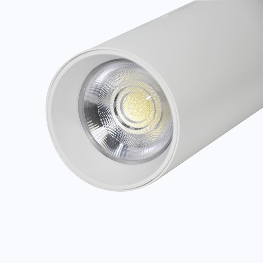 SPOT DE RIEL 30W CHASIS BLANCO LUZ BLANCA