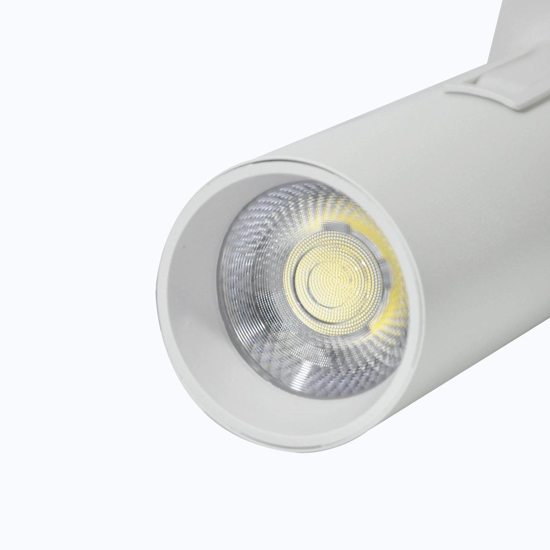 SPOT DE RIEL 30W CHASIS BLANCO LUZ BLANCA