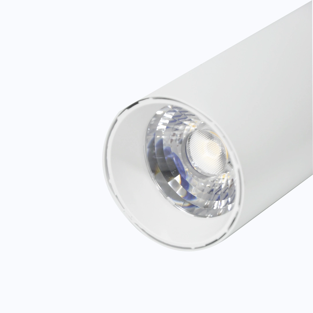 SPOT DE RIEL 20W CHASIS BLANCO LUZ BLANCA Y CÁLIDA